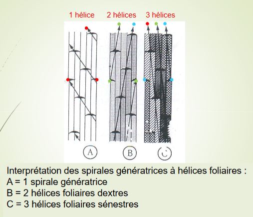 Nombre d'hélices