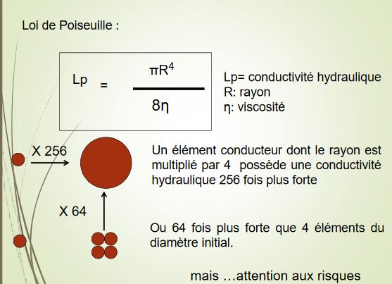 Loi de Poiseuille