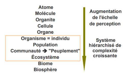 Organisation des systèmes