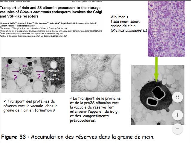 Formation de cristaux