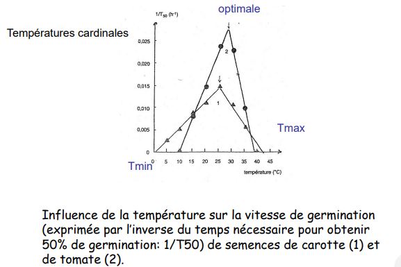 courbe de température