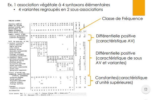 Tableau relou