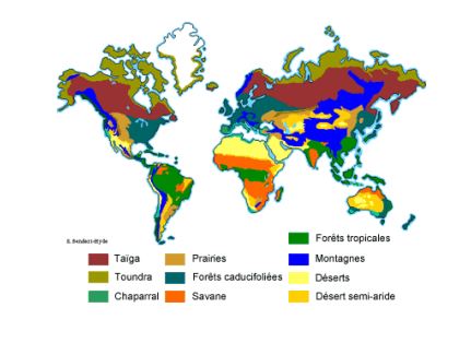 Carte de très petite échelle