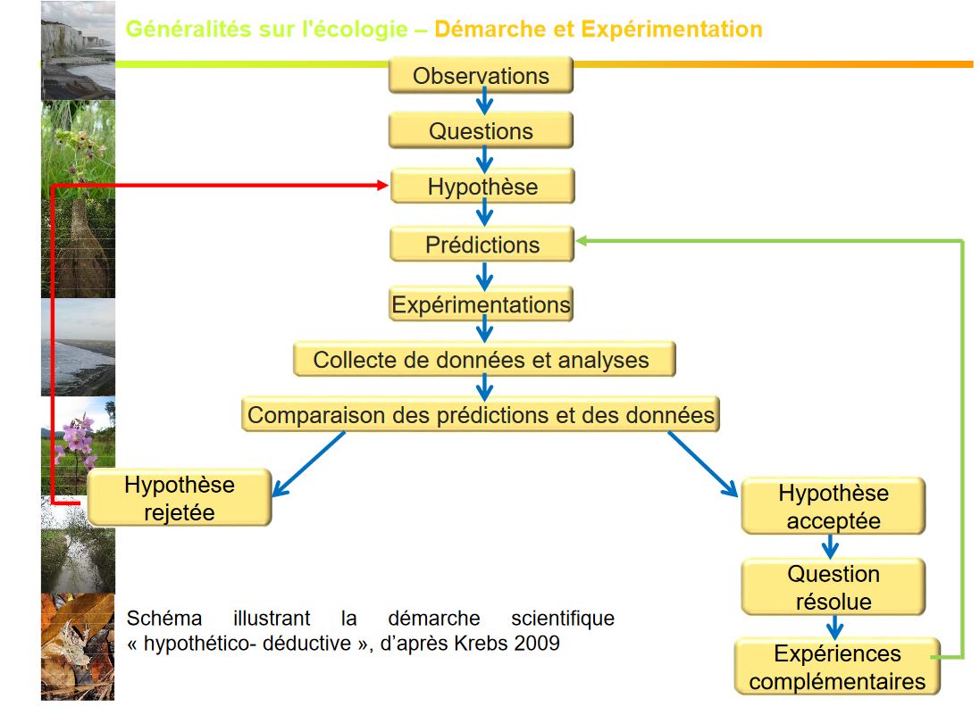 bilan