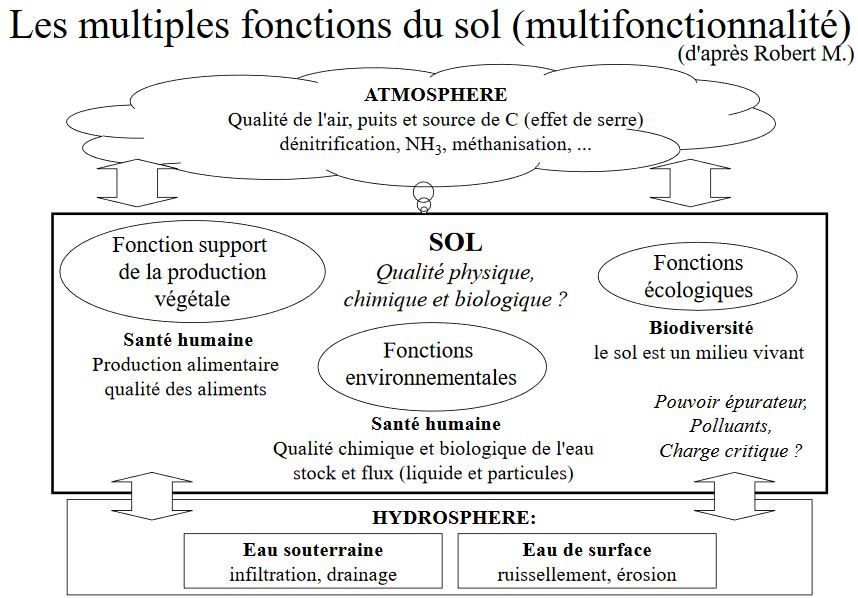 Les multiples fonctions du sol