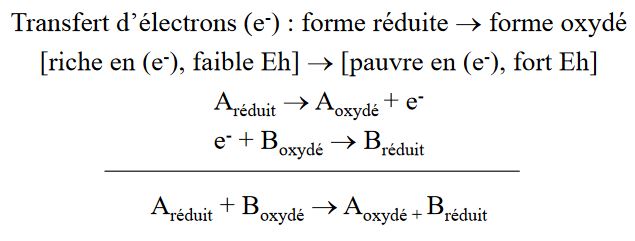 Le potentiel d'oxydo-réduction