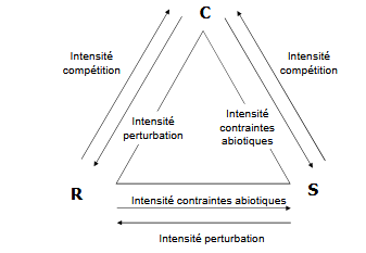 Stratégie