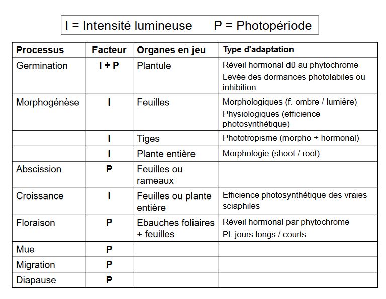 Intensité lumineuse et photopériode