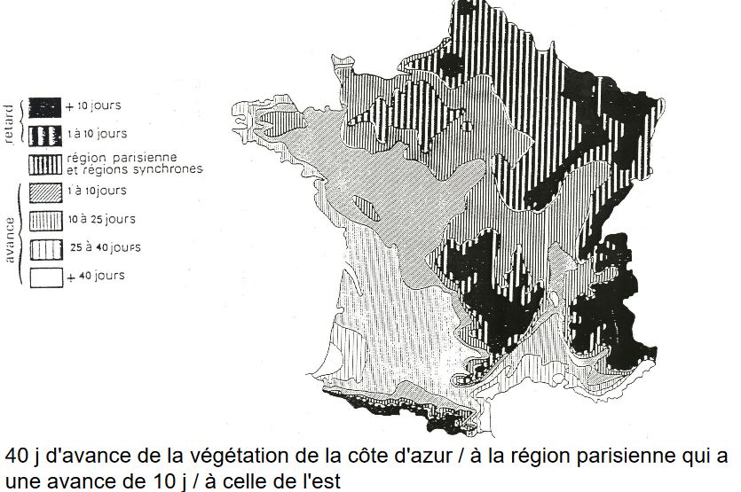 Phénologie des cultures en France continentale