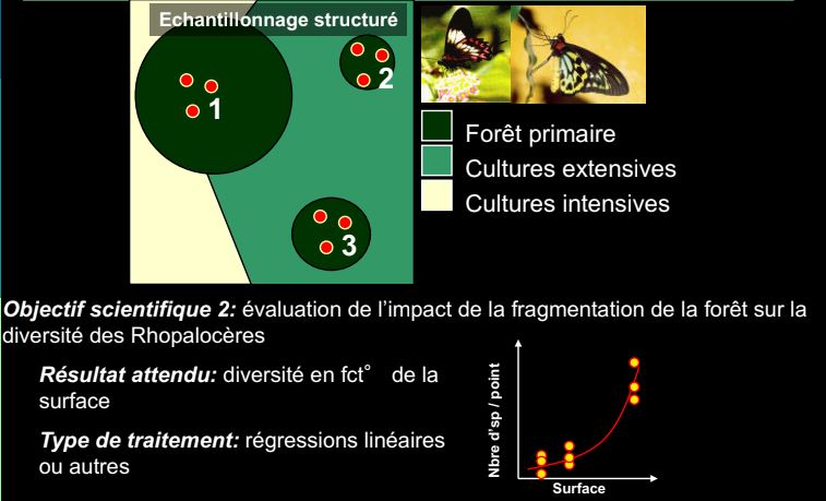 Systématiqueappliquée