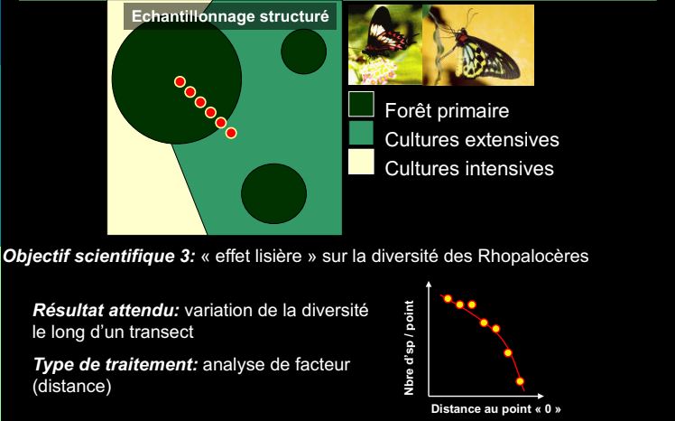 Systématiqueappliquée