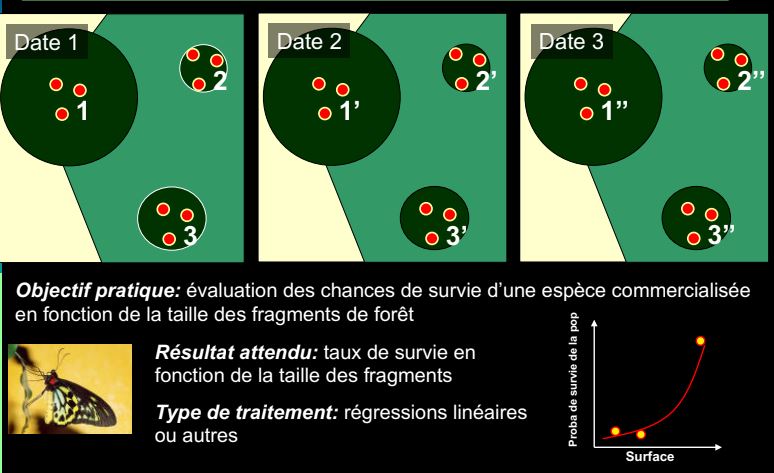 Systématiqueappliquée