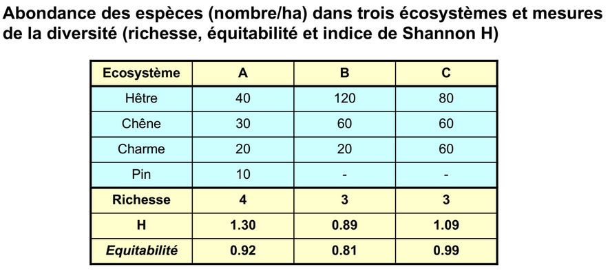 Abondance richesse