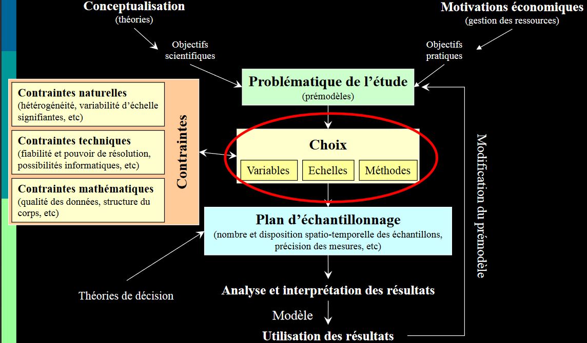 Systématiqueappliquée