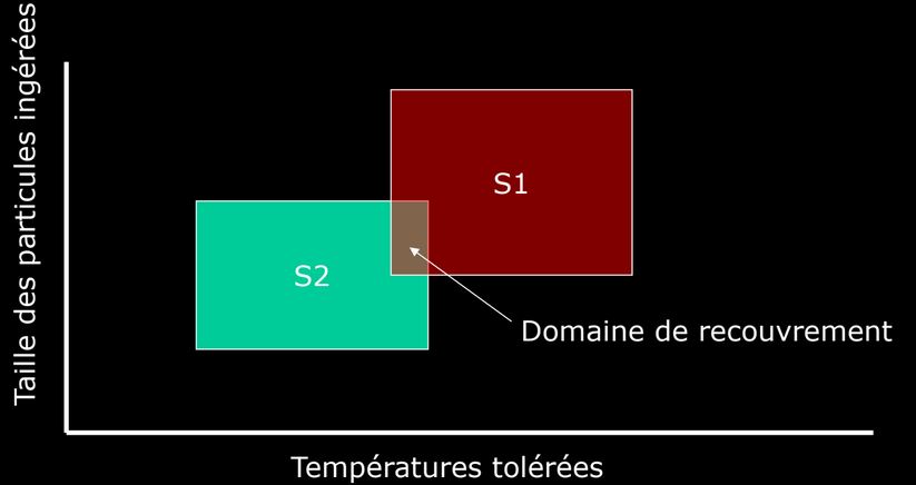 Définition de Hutchinson