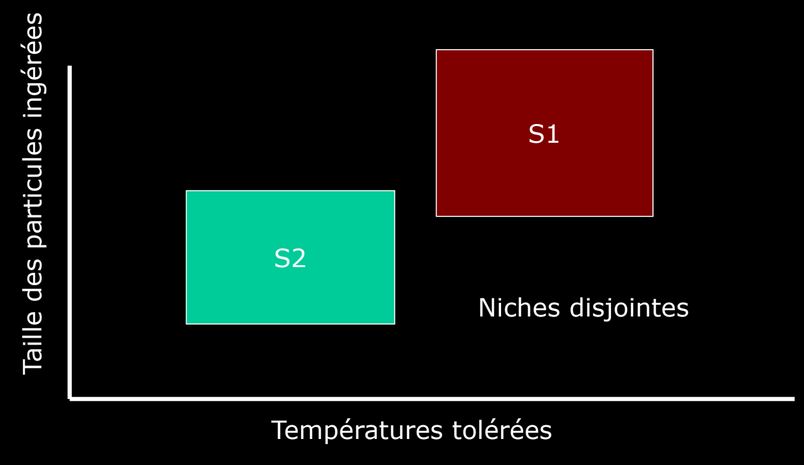 Définition de Hutchinson