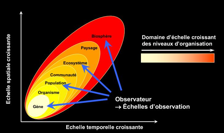 Systématiqueappliquée