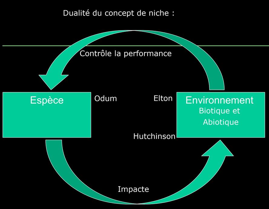 Définition de Hutchinson