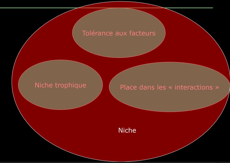 Définition de Hutchinson