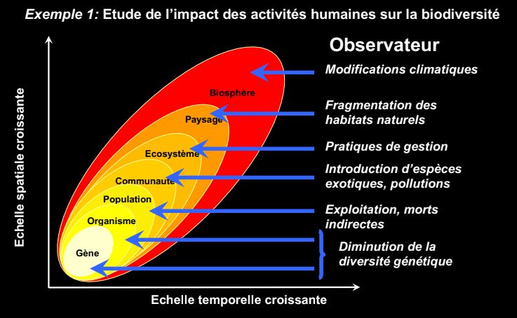 Systématiqueappliquée