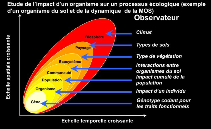 Systématiqueappliquée