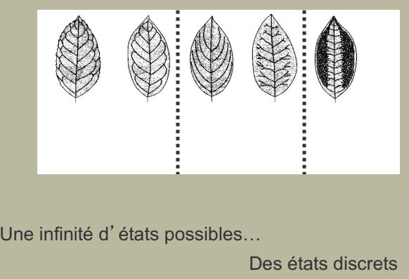 Caractères