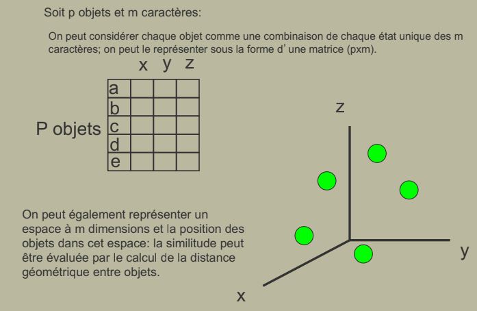 Caractères