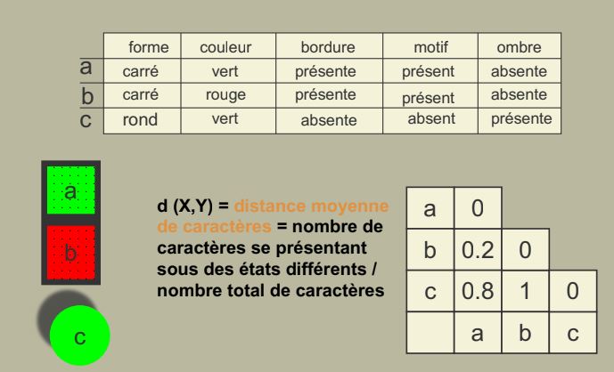 Caractères