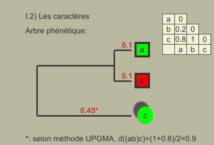 Caractères