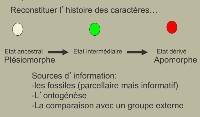 Reconstituer l'histoire des caractères