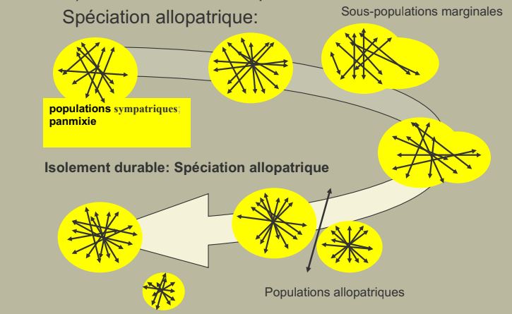 Spéciation