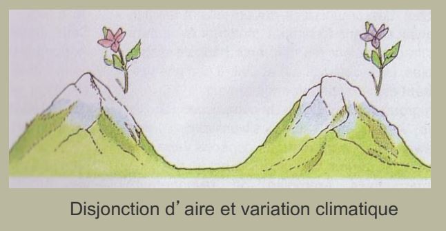 Disjonction d'aire et variation climatique