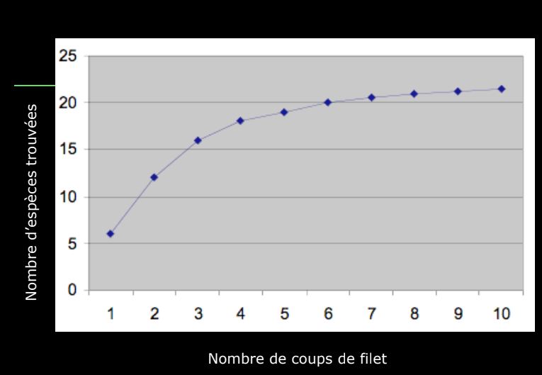 Systématiqueappliquée