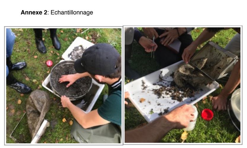 Annexe 2: Echantillonnage