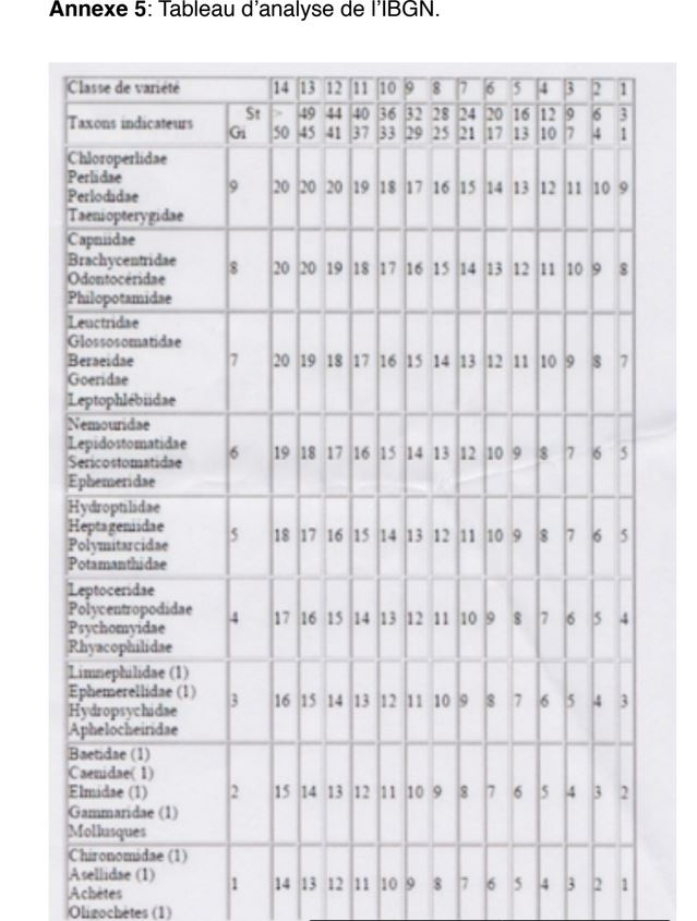 Annexe 5: Tableau d’analyse de l’IBGN