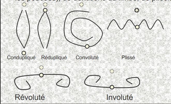 caractères de préfioliaison