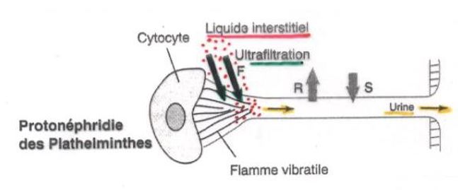 Filtration par dépression