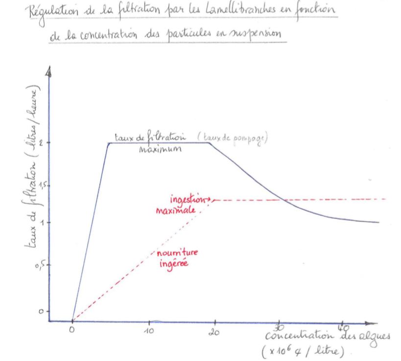 Régulation de la filtration par les Lamellibranches en fonction de la concentration des particules en suspension