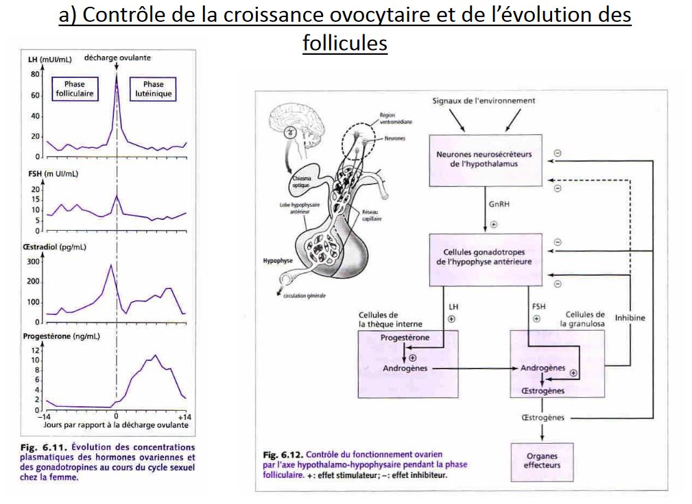 Zoologie