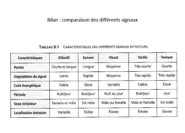 Bilan