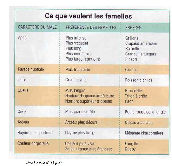 Choix des femelles