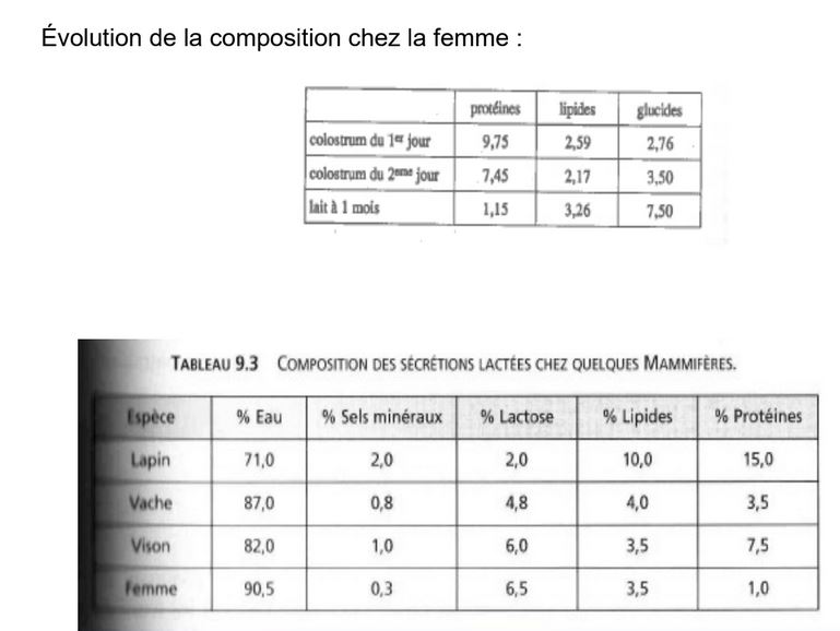 Le lait des mammifères