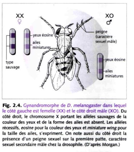 Zoologie