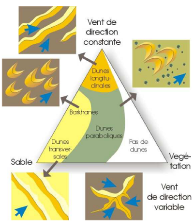 Types de dunes