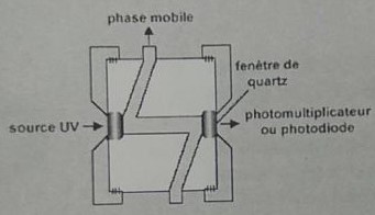 Cheminement de la phase mobile