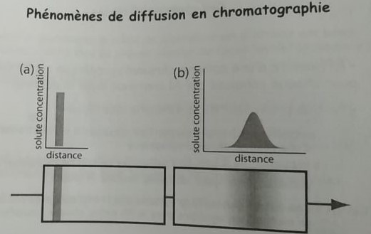 Phénomènes de diffusion en chromatographie