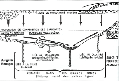 Processus diagénétique