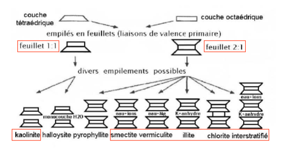 Les types de feuillet