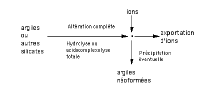 Néogenèse