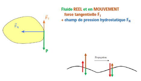 Force tangentielle et champ de pression hydrostatique